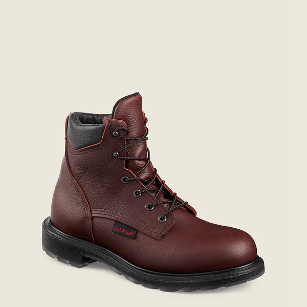 Bottes de Sécurité Red Wing - Supersole® 2.0 - 6-Inch Toe - Bordeaux - Homme 781TZUNWA